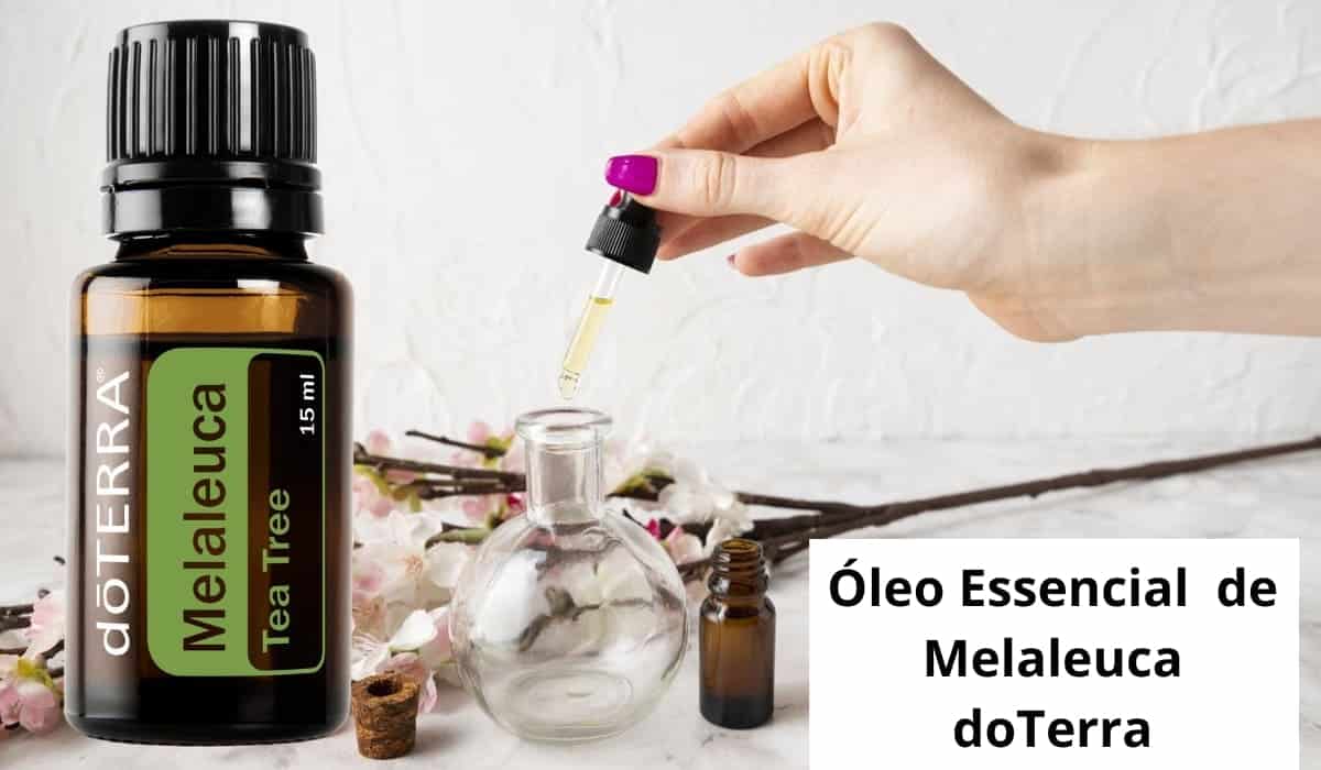 tea tree insect repellent Niterói RJ 1 tea tree insect repellent Niterói RJ
