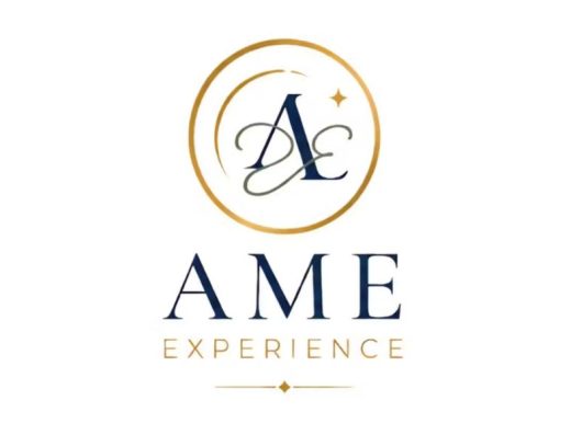 AME EXPERIENCE